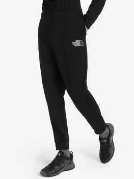 Брюки мужские The North Face Exploration, Черный, размер 52
