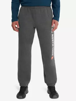 Брюки мужские The North Face Varsity Graphic, Серый