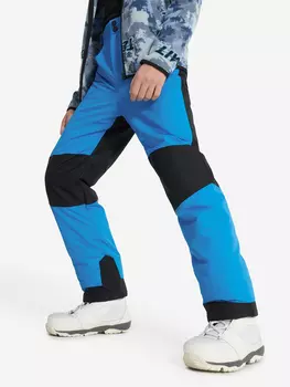 Брюки утепленные для мальчиков Termit, Синий