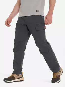 Брюки утепленные мужские Cordillero, Серый