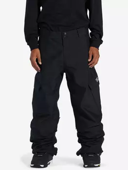 Брюки утепленные мужские DC Shoes Banshee, Черный