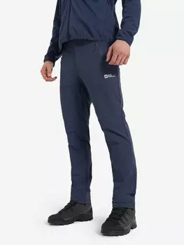 Брюки утепленные мужские Jack Wolfskin Glastal Winter, Синий