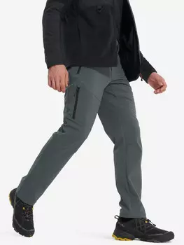 Брюки утепленные мужские Northland, Серый