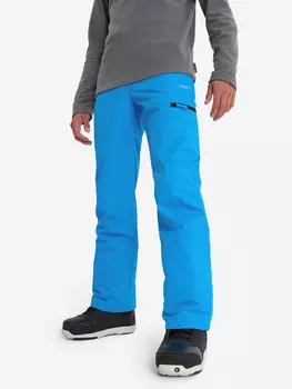 Брюки утепленные мужские Termit Infinity, Синий