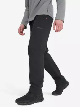 Брюки утепленные мужские Zanier, Черный