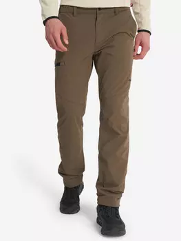 Брюки утепленные мужские Zanier, Коричневый