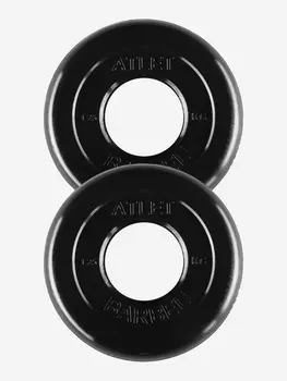 Диски блины для штанги 2 по 1.25 кг (51Д), Черный