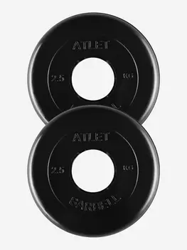 Диски блины для штанги 2 по 2.5 кг (51Д), Черный