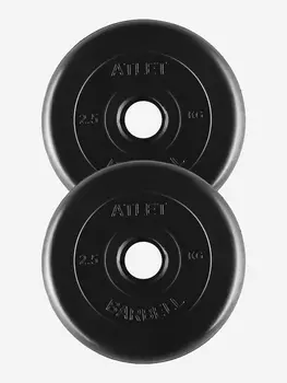Диски блины для штанги 2 по 2.5 кг (26Д), Черный