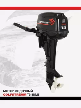 Двухтактный подвесной лодочный мотор GOLFSTREAM T9.8BMS, Черный