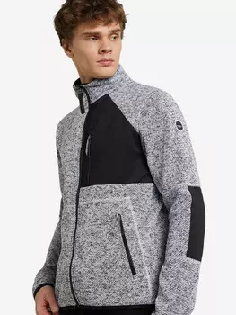 Джемпер флисовый мужской IcePeak Allstedt, Черный