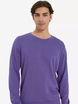 Свитшот мужской Termit, Фиолетовый