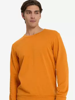 Свитшот мужской Termit, Оранжевый