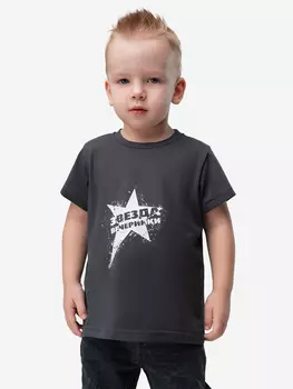 Футболка bodo, Серый