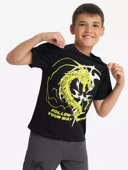 Футболка для мальчиков Demix, Черный