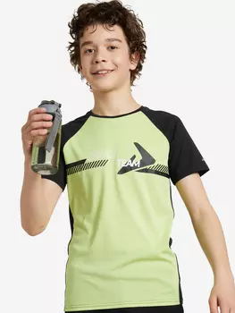 Футболка для мальчиков Demix, Черный