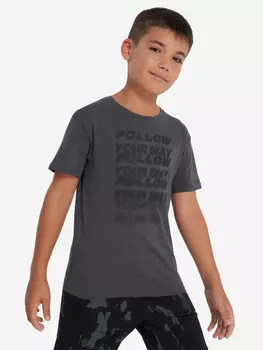 Футболка для мальчиков Demix, Серый