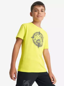 Футболка для мальчиков Demix, Зеленый