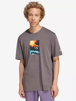 Футболка мужская Adidas Adi Pic Tee, Коричневый