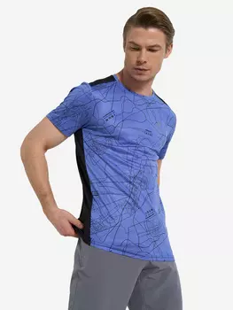 Футболка мужская Demix, Синий