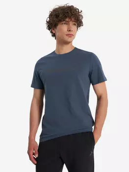 Футболка мужская Demix, Синий