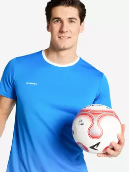 Футболка мужская Demix, Синий