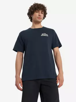 Футболка мужская Element Timber Carry, Синий