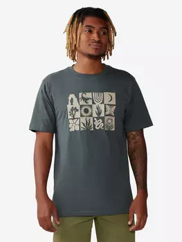 Футболка мужская Mountain Hardwear Desert Check Short Sleeve, Серый