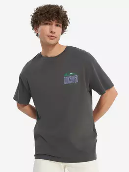 Футболка мужская оверсайз Quiksilver World Force, Серый