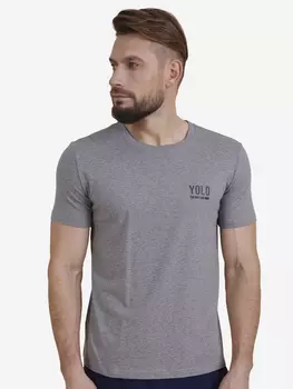 Футболка мужская Pelican, Серый