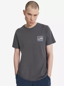 Футболка мужская Protest, Серый