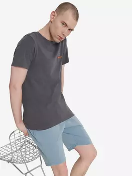 Футболка мужская Protest, Серый