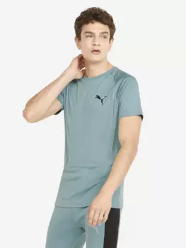 Футболка мужская PUMA RTG, Синий