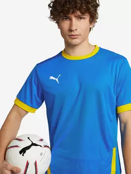 Футболка мужская PUMA teamGOAL 23 Jersey, Голубой