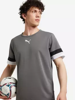 Футболка мужская PUMA Teamrise Jersey, Серый, размер 48-50