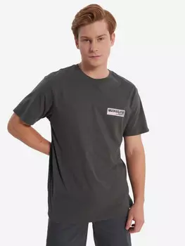 Футболка мужская Quiksilver Palm Square, Серый