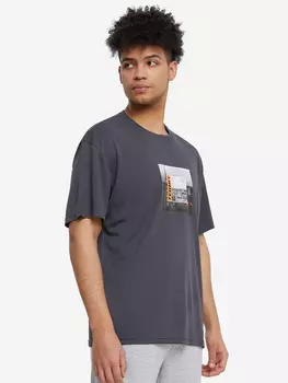 Футболка мужская Termit, Серый