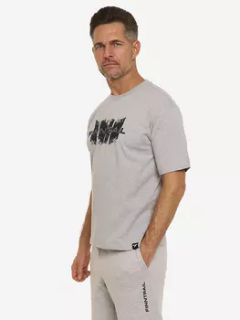 Футболка мужскаяFINNTRAIL Logo, Серый