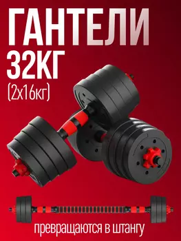 Гантели разборные 2шт по 16,5 кг Гантели-в-Деле, Черный