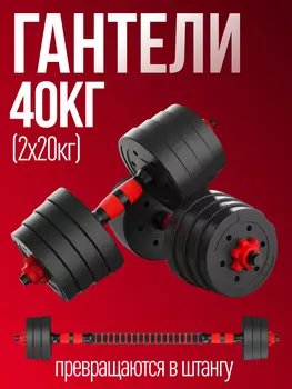 Гантели разборные 2шт по 19,5кг Гантели-в-Деле, Черный