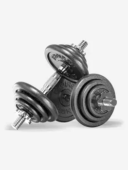 Гантели разборные PROIRON с грифом из чугуна набор 2 шт, 10+10 кг, Серый