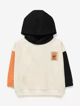 Худи для мальчиков Artie, Мультицвет