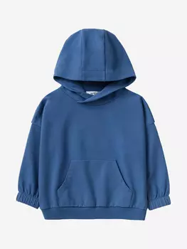 Худи для мальчиков Artie, Синий