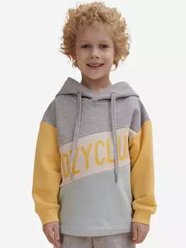 Худи для мальчиков Pelican, Серый