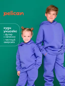 Худи, толстовка детская Pelican, Фиолетовый