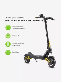Электросамокат WHITE SIBERIA NERPA PRO, Золотой