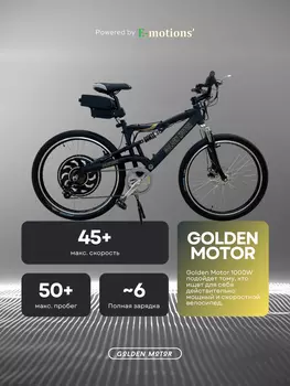 Электровелосипед Golden Motor 1000W, Черный