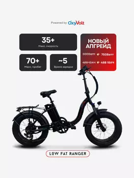 Электровелосипед OxyVolt Low Fat Ranger черный 750W, Черный