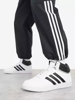 Кеды мужские Adidas Hoops 4.0, Белый