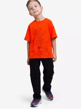 Комплект Playtoday для мальчика: футболка, брюки, Мультицвет